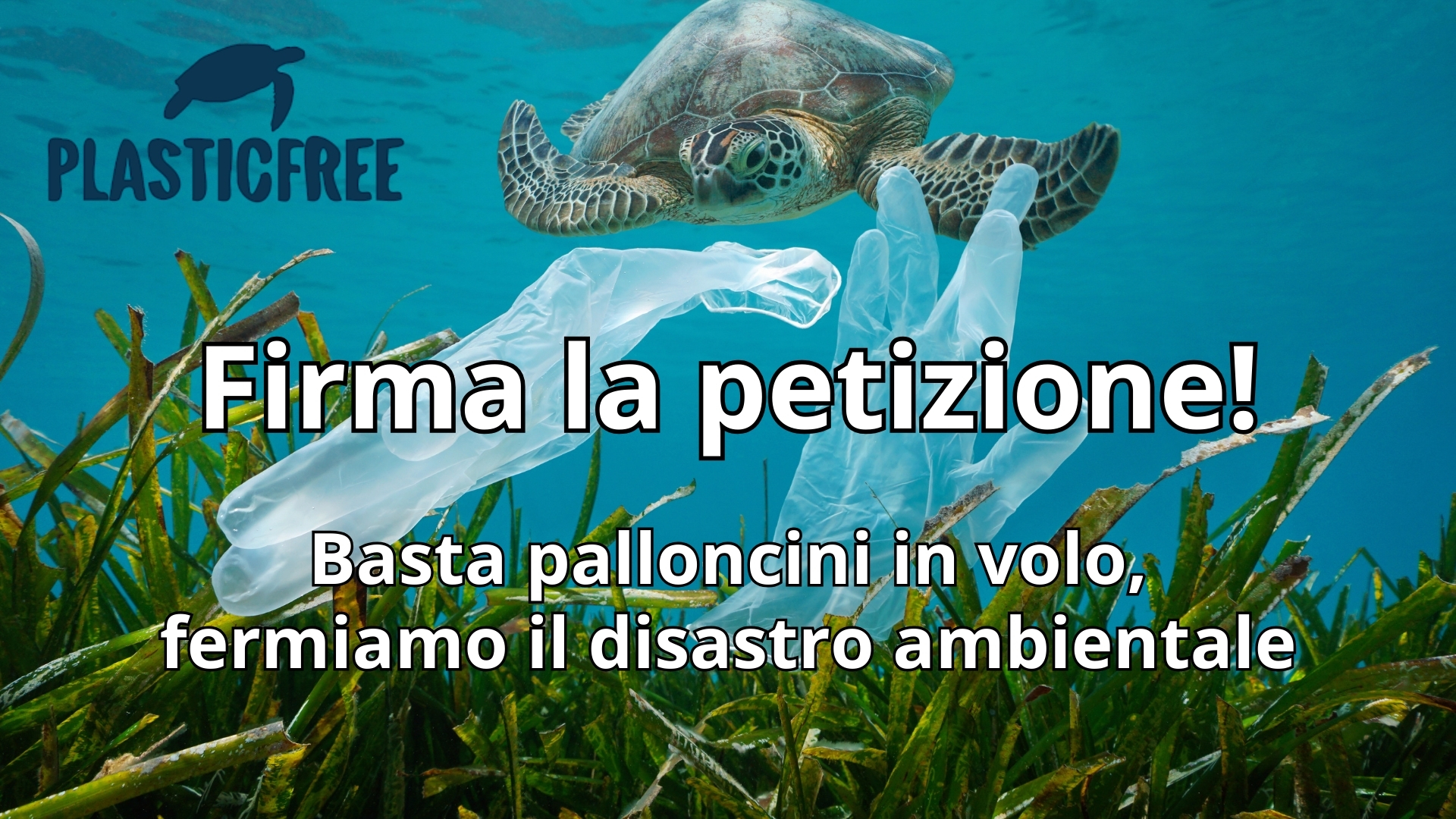 Clicca per accedere all'articolo Proteggere la biodiversità è una scelta: firma per dire basta ai palloncini in volo